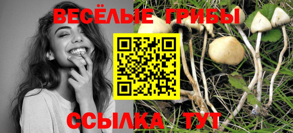 Нижний Новгород  Псилоцибиновые грибы мухоморы  Вход с VPN 