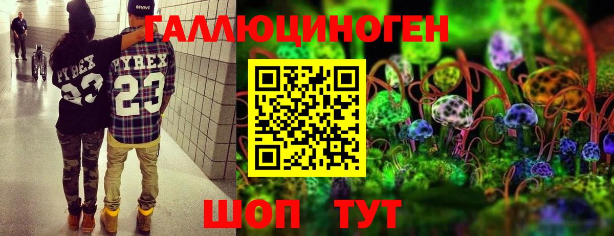 Галлюциногенные грибы MAGIC MUSHROOMS Нижний Новгород